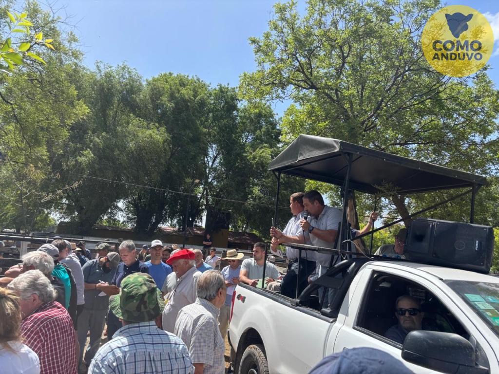 Néstor I. Goenaga y Cía 